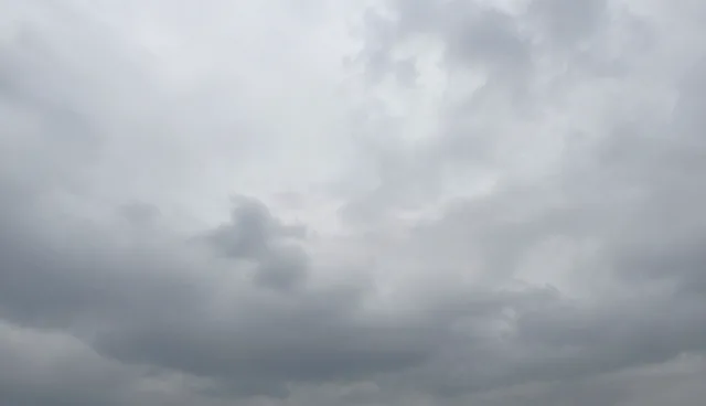 提升一件代发效率的采购服务优化策略